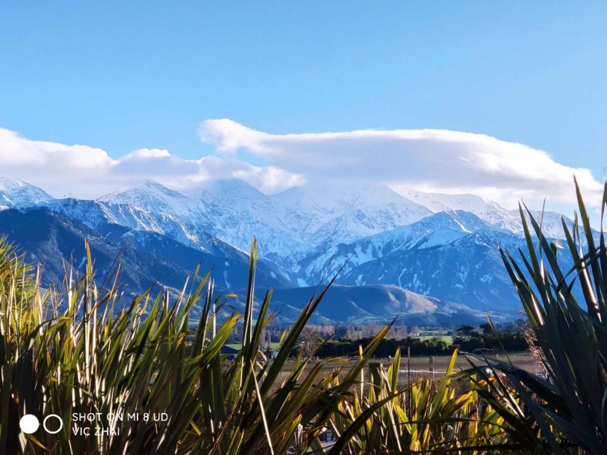 Waikoura springs Bed and Breakfast Kaikoura Exteriör bild